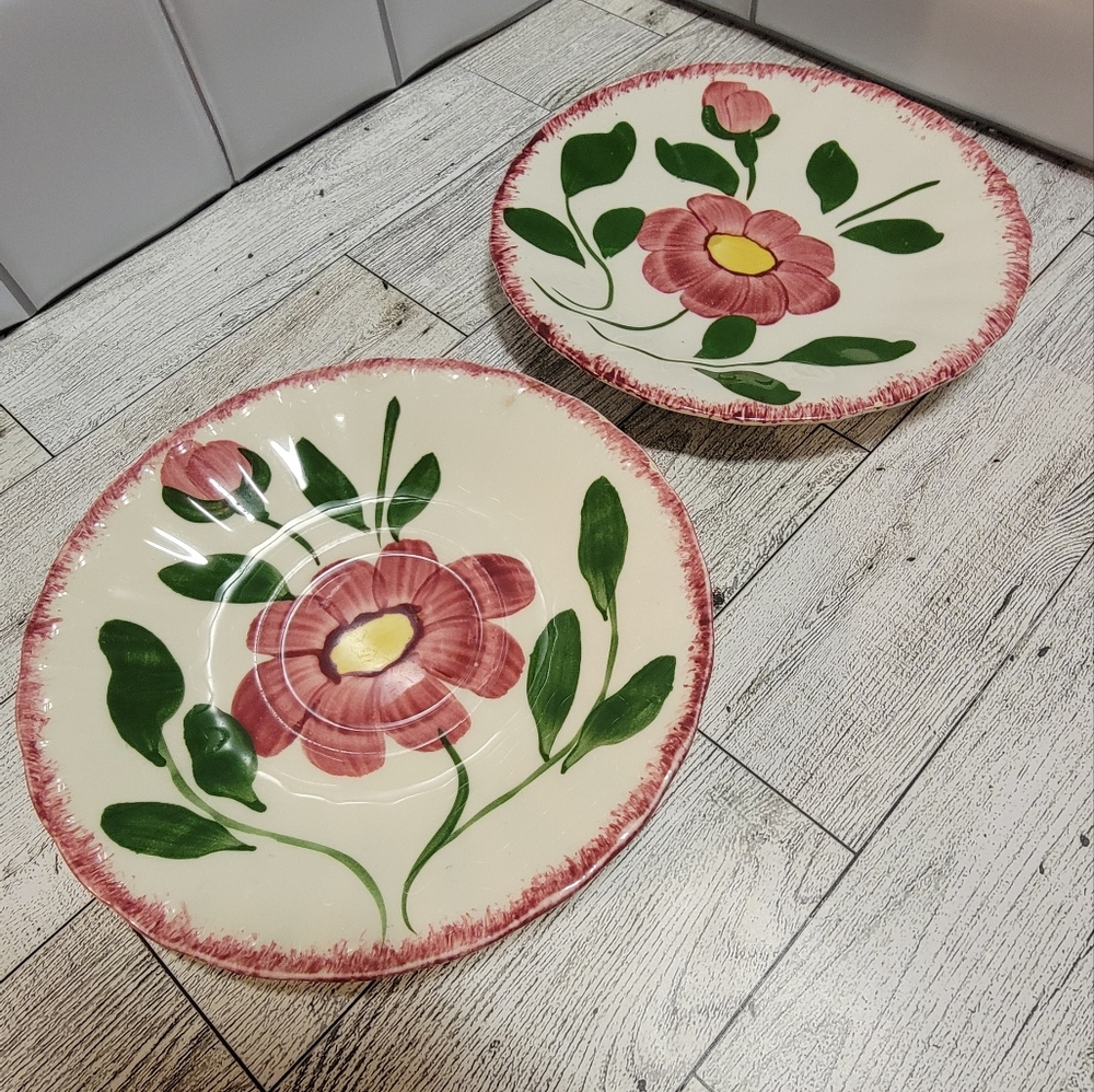 Vintage. Set of 2 Floral hand painted plates. - Picture 1 of 4
